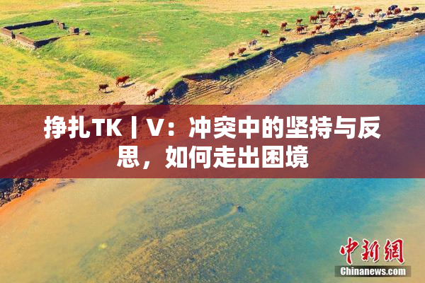 挣扎TK丨V：冲突中的坚持与反思，如何走出困境