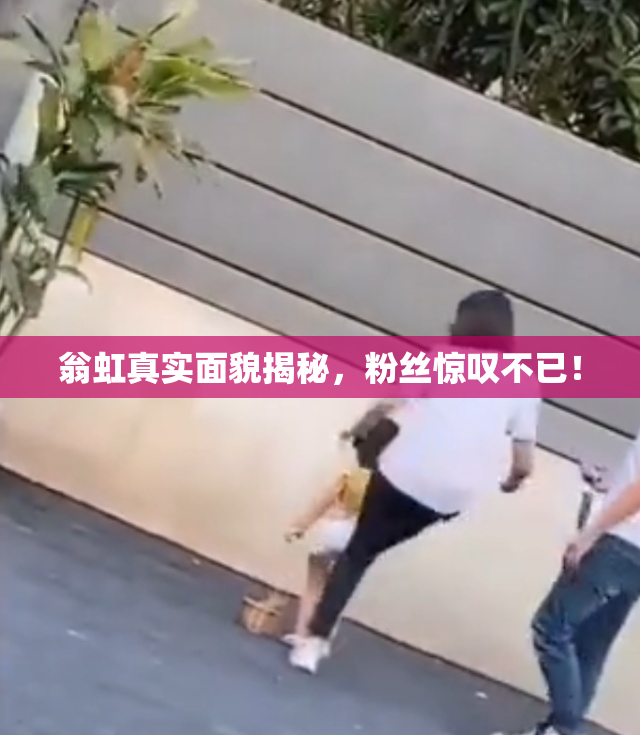 翁虹真实面貌揭秘，粉丝惊叹不已！