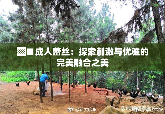 ▓■成人蕾丝：探索刺激与优雅的完美融合之美