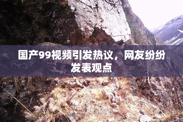 国产99视频引发热议，网友纷纷发表观点