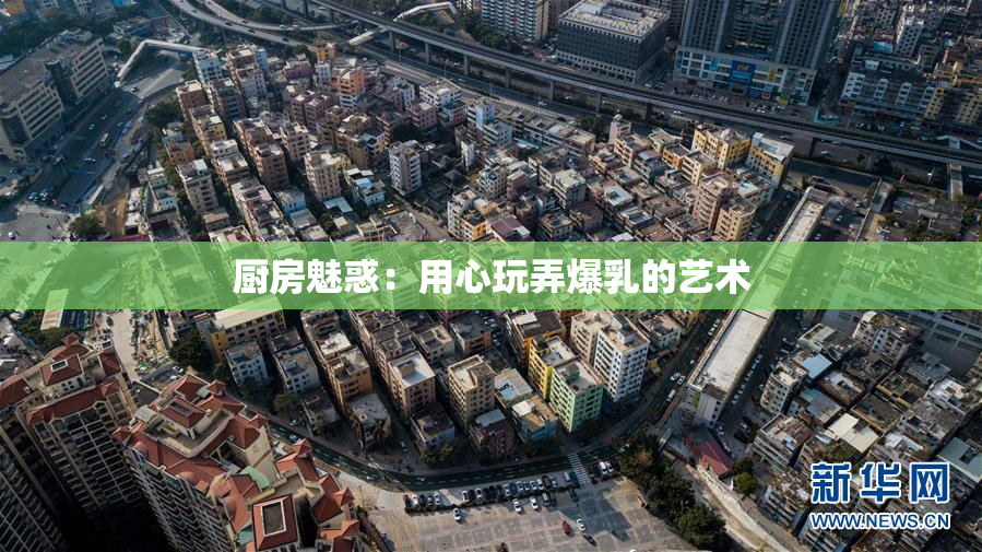 厨房魅惑：用心玩弄爆乳的艺术