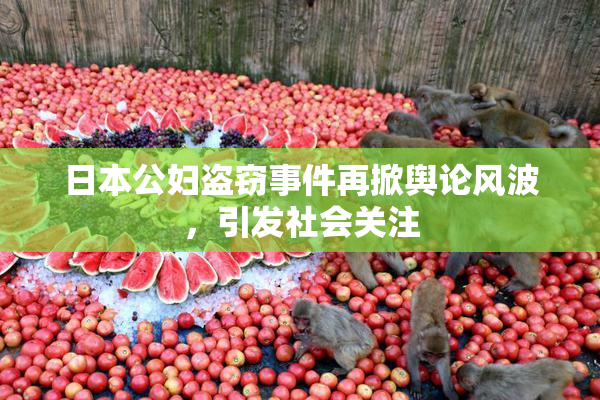 日本公妇盗窃事件再掀舆论风波，引发社会关注