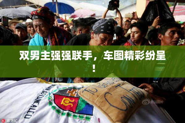 双男主强强联手，车图精彩纷呈！