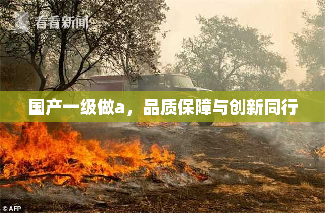 国产一级做a，品质保障与创新同行