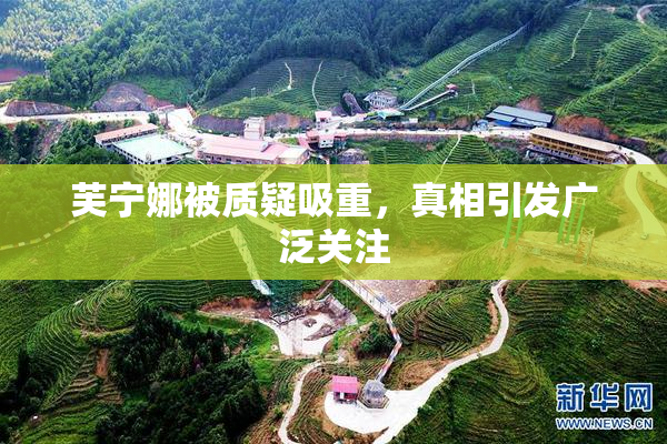芙宁娜被质疑吸重，真相引发广泛关注