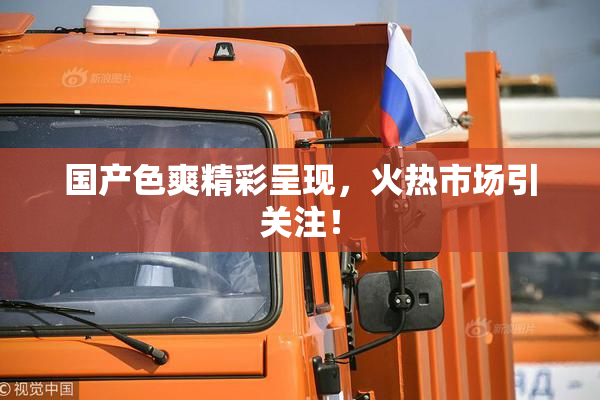 国产色爽精彩呈现，火热市场引关注！