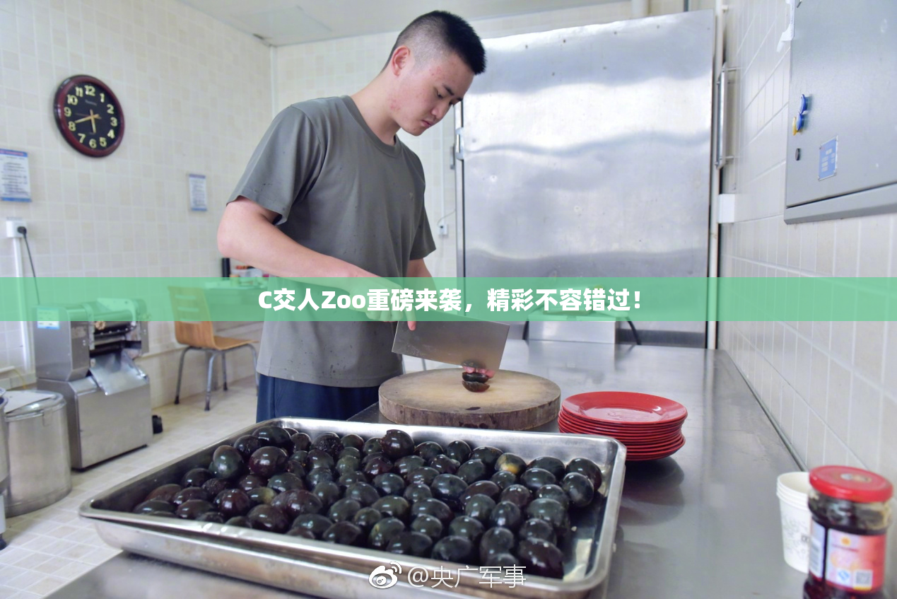C交人Zoo重磅来袭，精彩不容错过！
