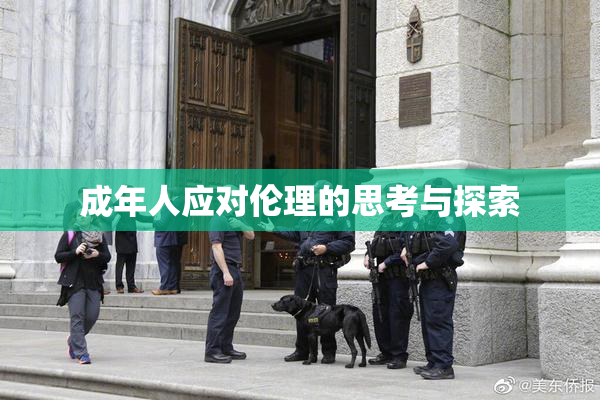 成年人应对伦理的思考与探索