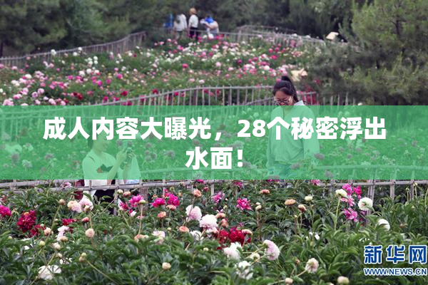 成人内容大曝光，28个秘密浮出水面！
