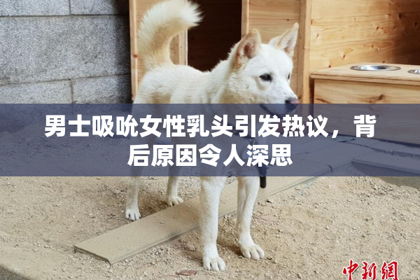男士吸吮女性乳头引发热议，背后原因令人深思