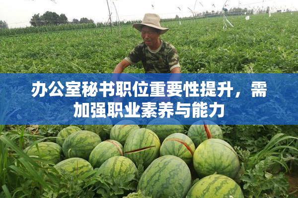 办公室秘书职位重要性提升，需加强职业素养与能力