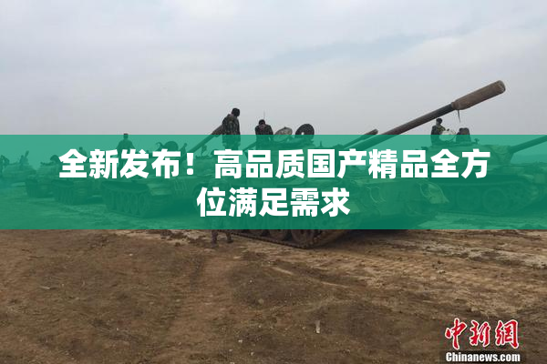 全新发布！高品质国产精品全方位满足需求