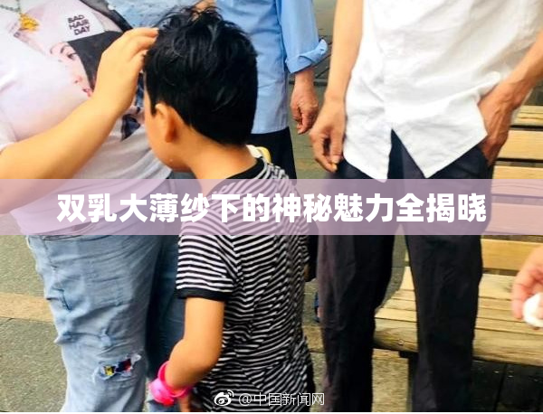 双乳大薄纱下的神秘魅力全揭晓