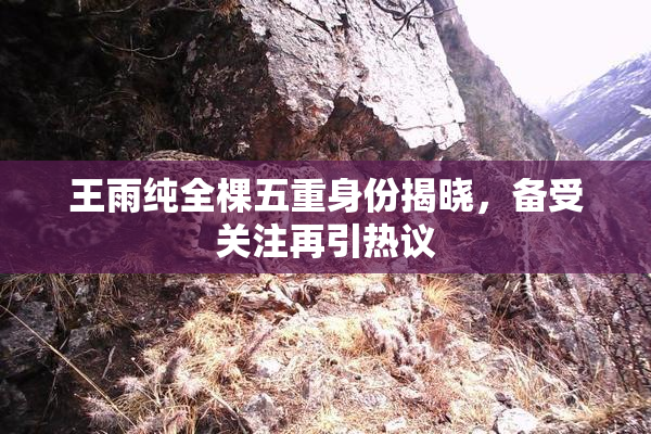 王雨纯全棵五重身份揭晓，备受关注再引热议