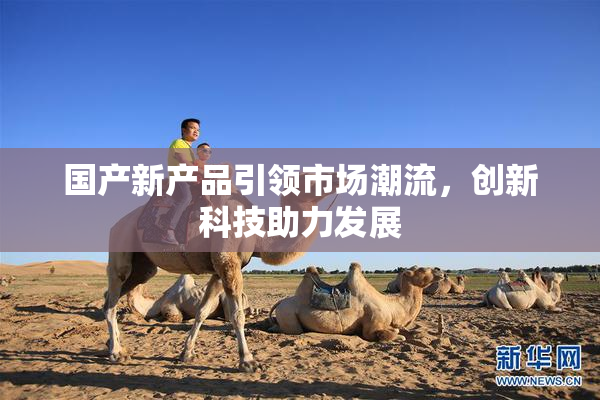 国产新产品引领市场潮流，创新科技助力发展