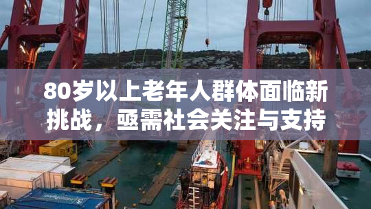 80岁以上老年人群体面临新挑战，亟需社会关注与支持