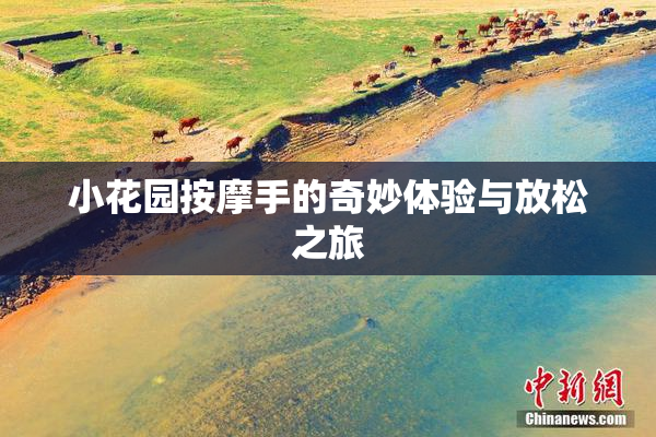 小花园按摩手的奇妙体验与放松之旅