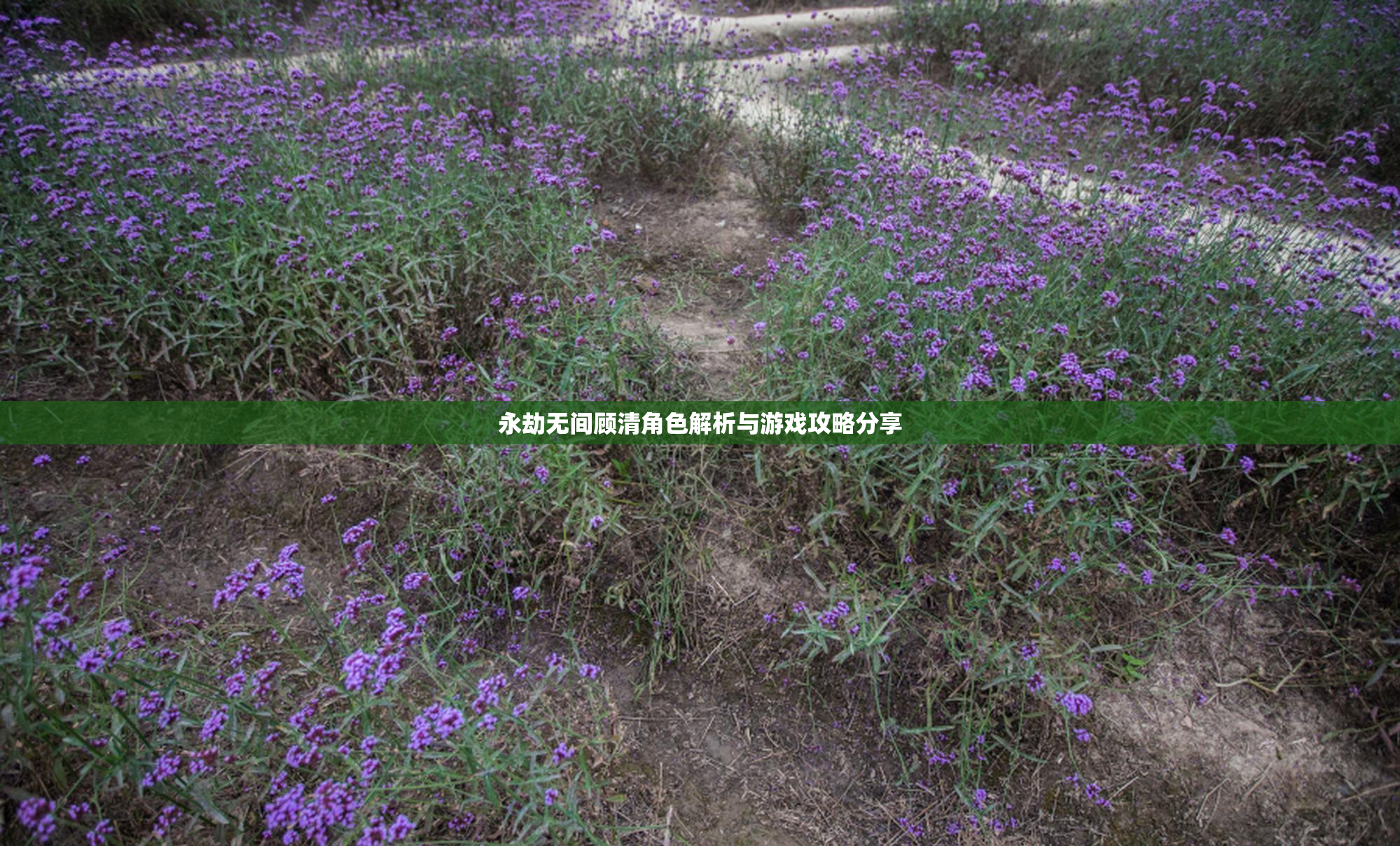 永劫无间顾清角色解析与游戏攻略分享