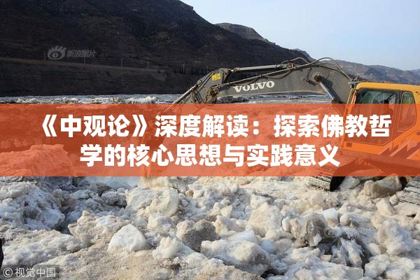 《中观论》深度解读：探索佛教哲学的核心思想与实践意义