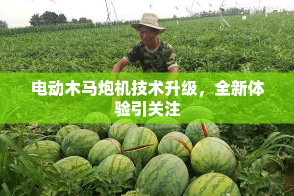 电动木马炮机技术升级，全新体验引关注