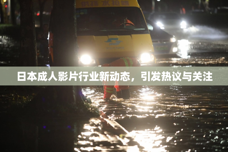 日本成人影片行业新动态，引发热议与关注