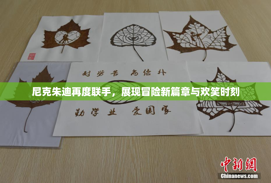 尼克朱迪再度联手，展现冒险新篇章与欢笑时刻