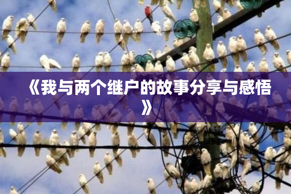 《我与两个继户的故事分享与感悟》