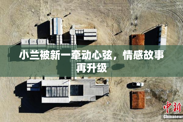 小兰被新一牵动心弦，情感故事再升级