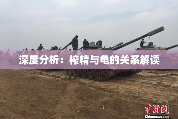 深度分析：榨精与龟的关系解读