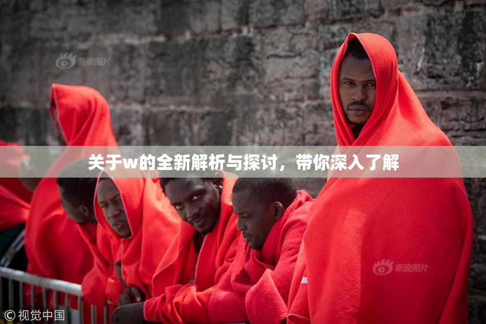关于w的全新解析与探讨，带你深入了解