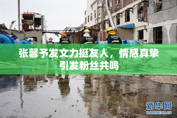 张馨予发文力挺友人，情感真挚引发粉丝共鸣