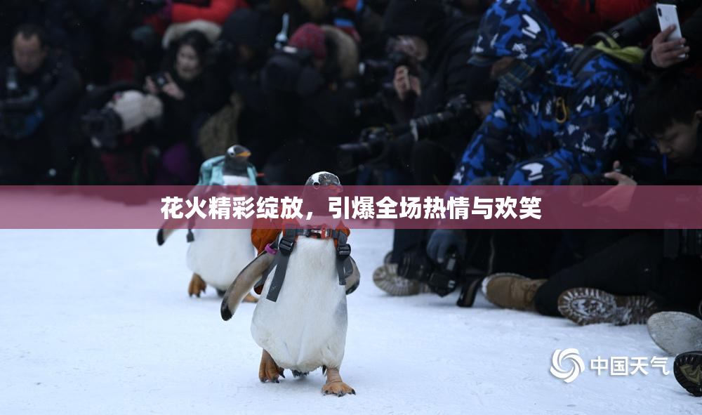 花火精彩绽放，引爆全场热情与欢笑