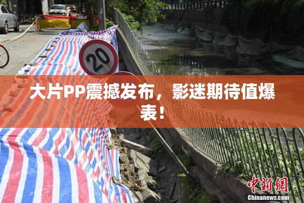 大片PP震撼发布，影迷期待值爆表！