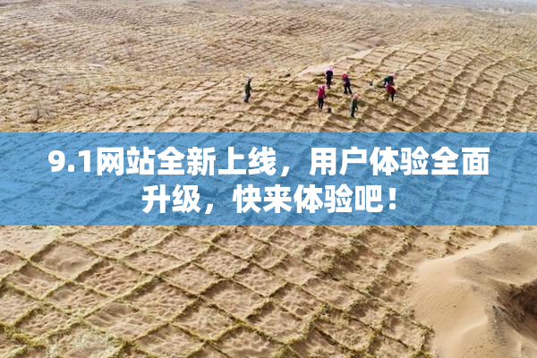 9.1网站全新上线，用户体验全面升级，快来体验吧！
