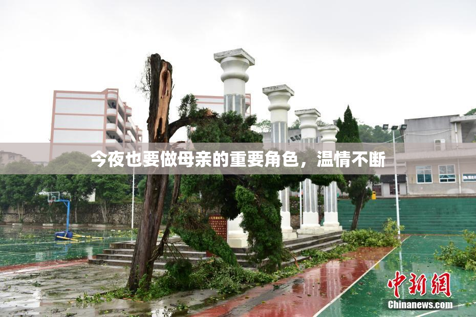 今夜也要做母亲的重要角色，温情不断