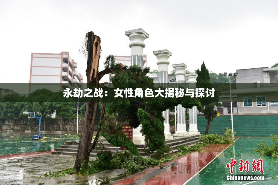 永劫之战：女性角色大揭秘与探讨