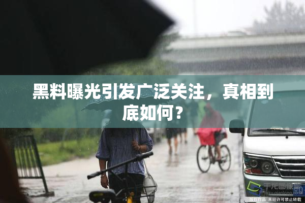 黑料曝光引发广泛关注，真相到底如何？