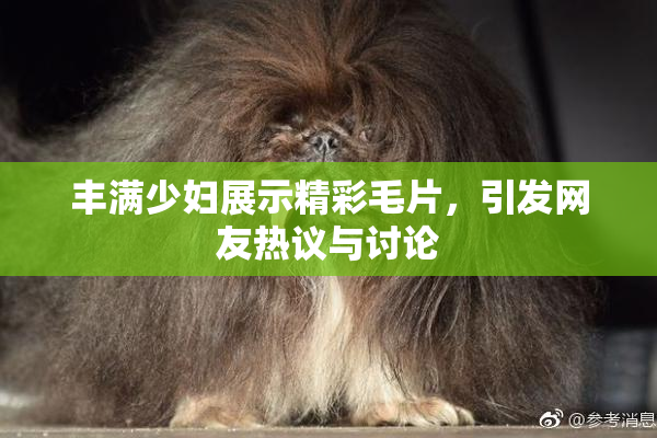 丰满少妇展示精彩毛片，引发网友热议与讨论