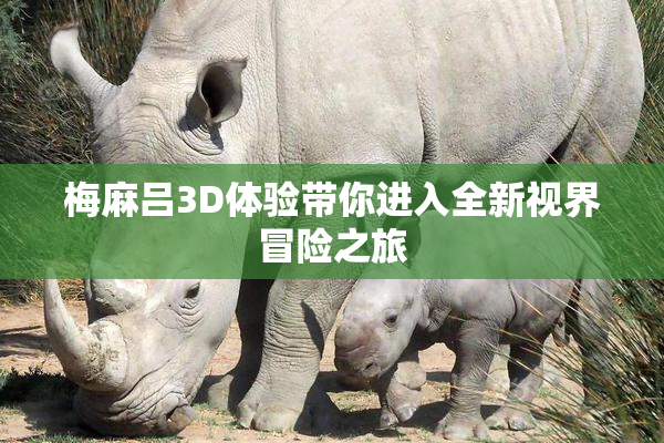 梅麻吕3D体验带你进入全新视界冒险之旅