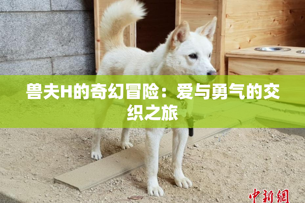 兽夫H的奇幻冒险：爱与勇气的交织之旅