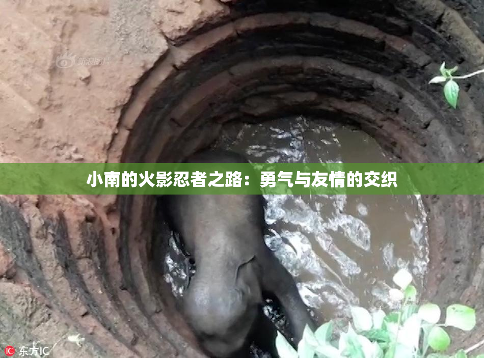 小南的火影忍者之路：勇气与友情的交织