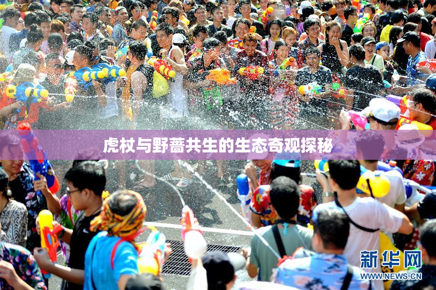 虎杖与野蔷共生的生态奇观探秘