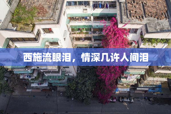 西施流眼泪，情深几许人间泪
