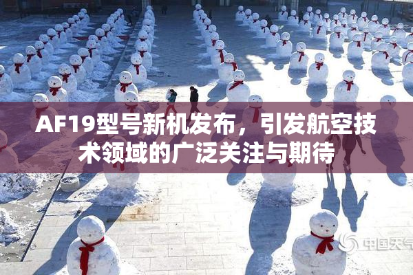 AF19型号新机发布，引发航空技术领域的广泛关注与期待