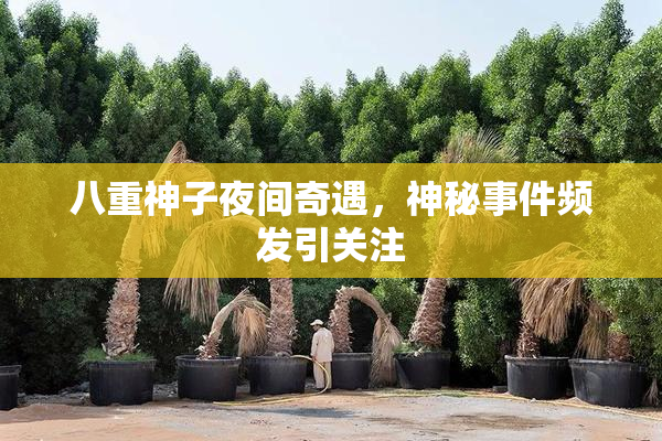 八重神子夜间奇遇，神秘事件频发引关注