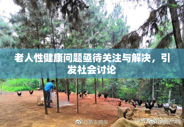老人性健康问题亟待关注与解决，引发社会讨论