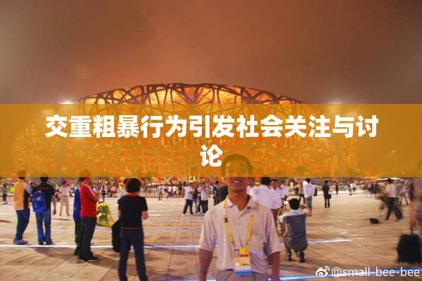 交重粗暴行为引发社会关注与讨论