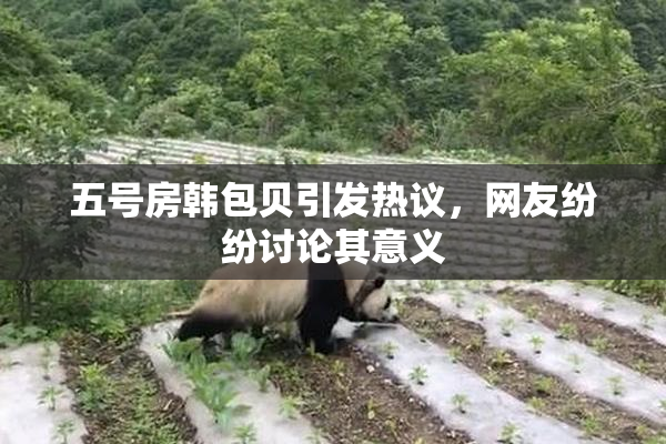 五号房韩包贝引发热议，网友纷纷讨论其意义