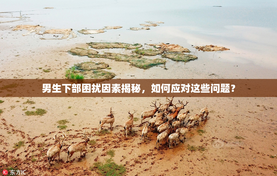 男生下部困扰因素揭秘，如何应对这些问题？
