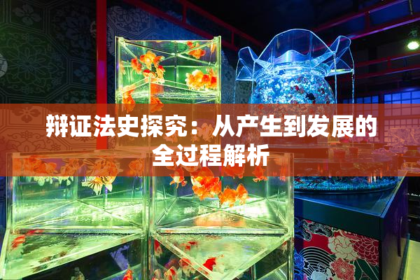 辩证法史探究：从产生到发展的全过程解析